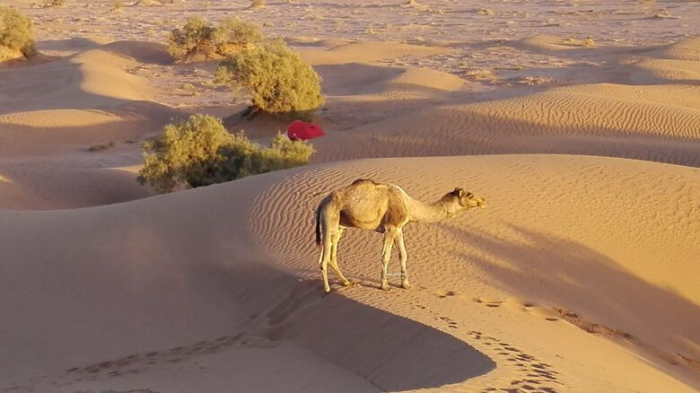 Hotel Kasbah Aladdin