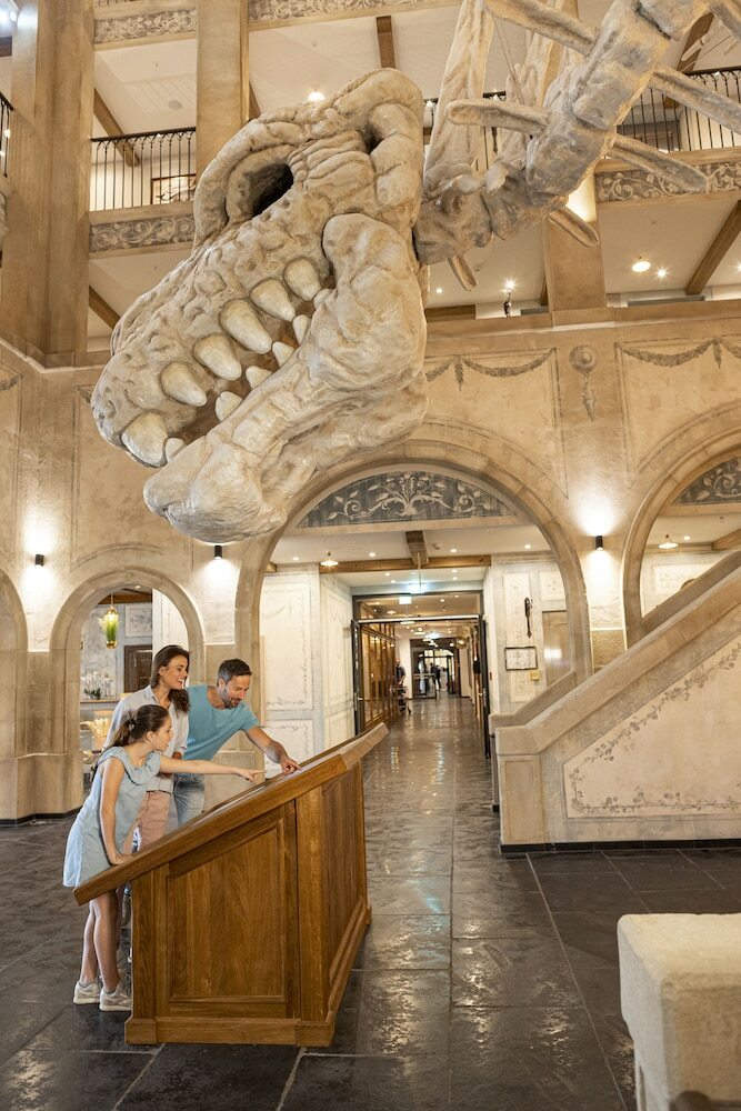 Europa-park Freizeitpark & Erlebnis-resort, Hotel Kr�nas�r
