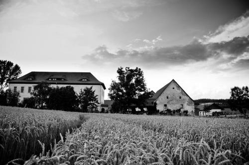 Hostal Rittergut Positz