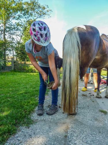 Agroturismo Bauernhof Familie Wulff
