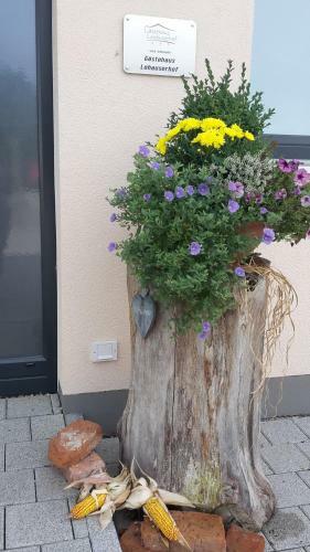 Hotel G�stehaus Lohauserhof