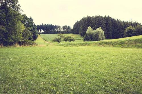 Land-gut-hotel Gasthof Waldsch�nke