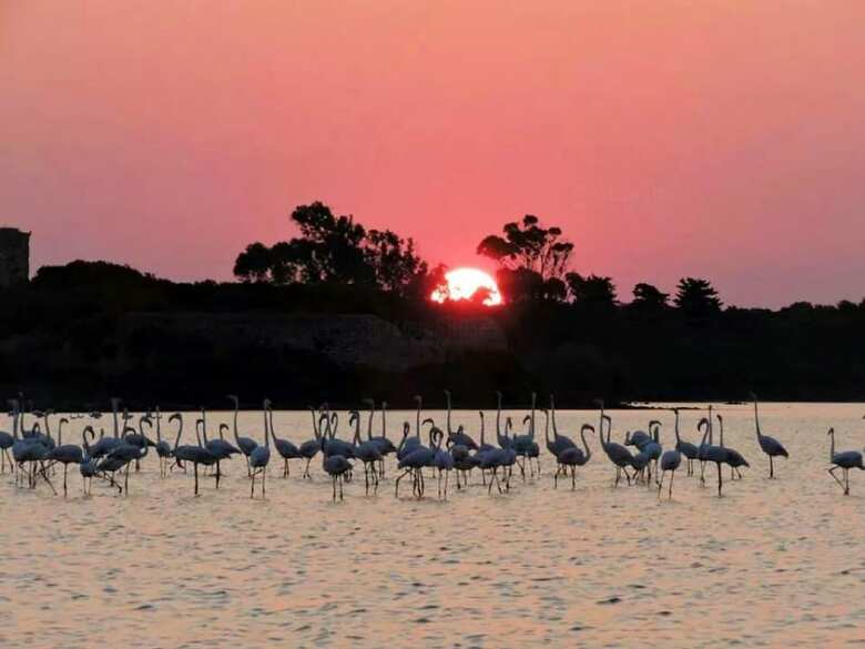 Apartamento I Monaci Front Beach Specchiarica