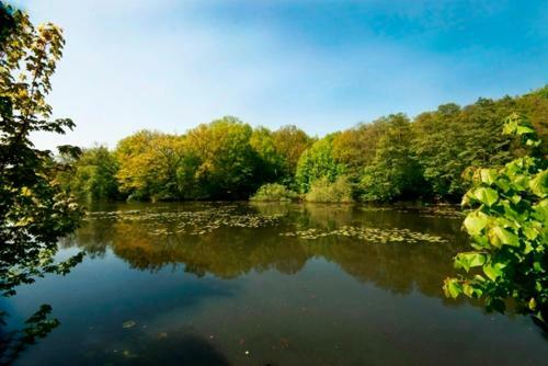 Hotel Waldesruh Am See