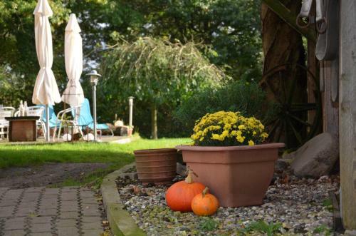 Hostal G�stehof Rehedyk
