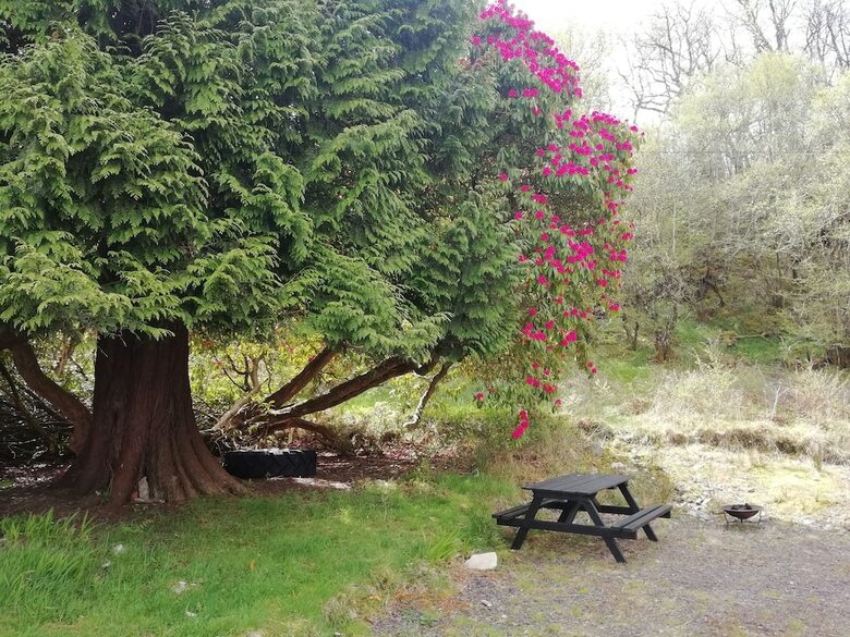 Hostal Craignure Bunkhouse