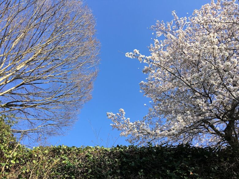 Hotel Minsyuku Satoyama