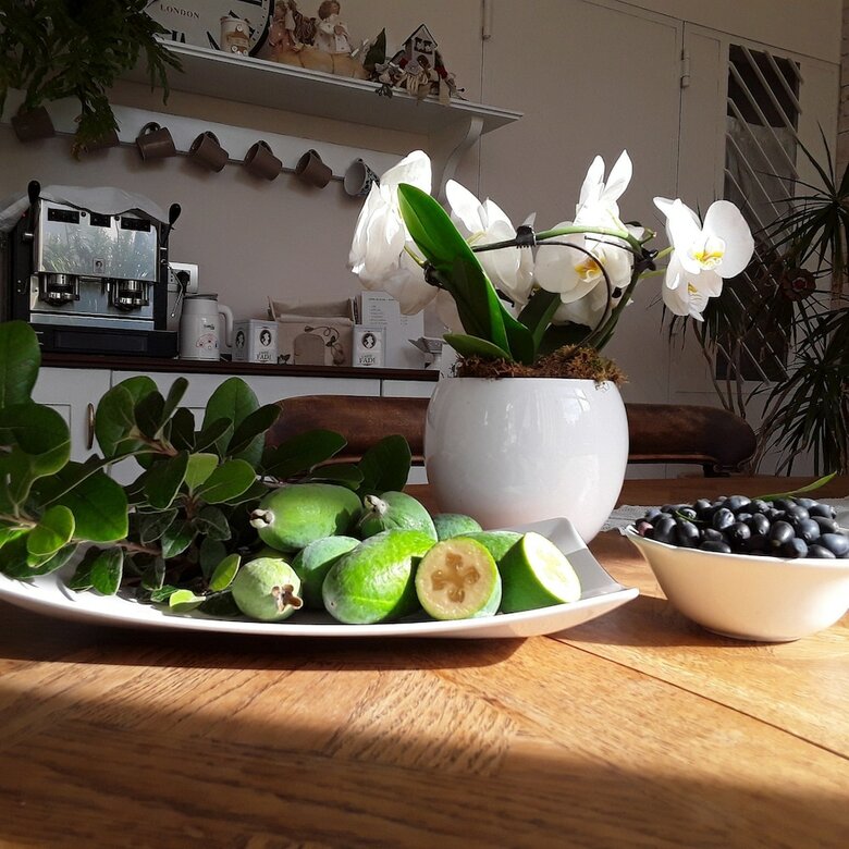 Bed & Breakfast Il Cerchio D'acqua