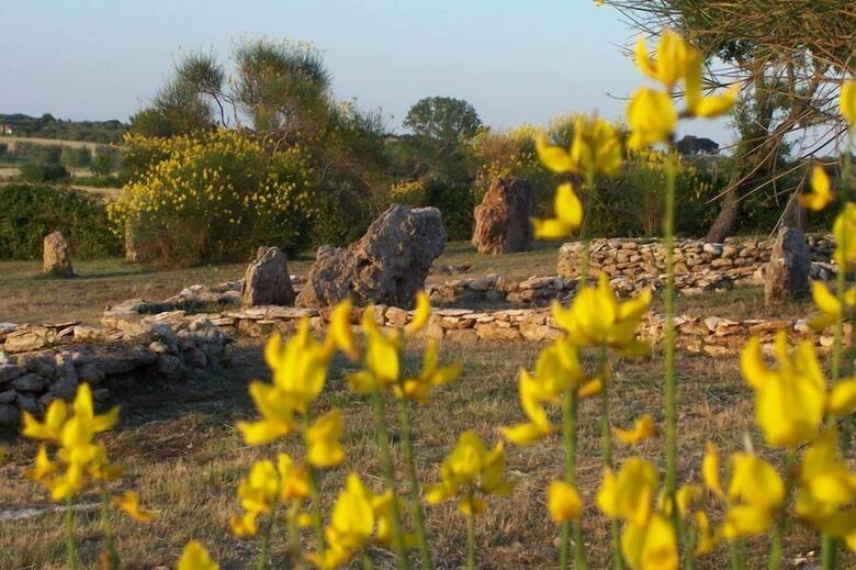 Agroturismo Agriturismo Il Grillo Parlante