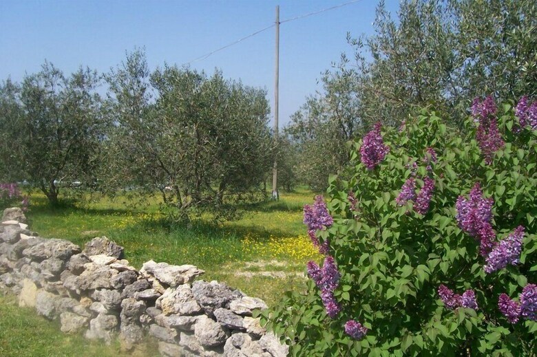 Agroturismo Agriturismo Il Grillo Parlante