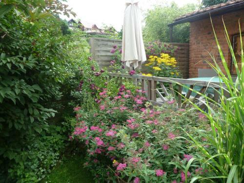 Apartamento Ferienwohnung Lotti