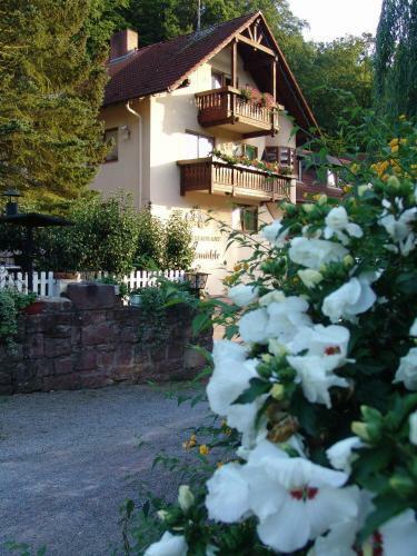 Hotel Restaurant Paradeism�hle