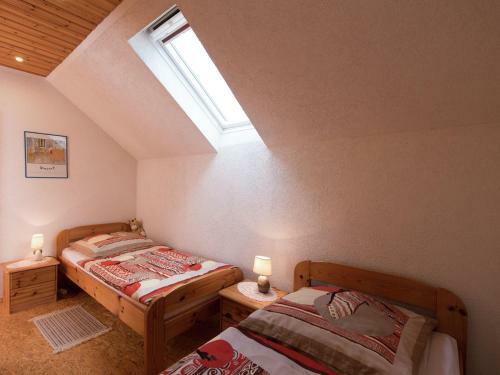Modern Apartment Inpohla Saxony Near Ski Area