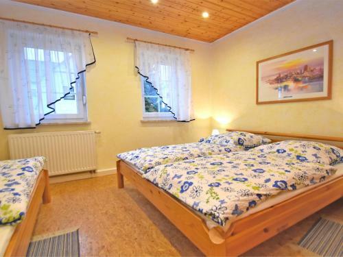 Modern Apartment Inpohla Saxony Near Ski Area