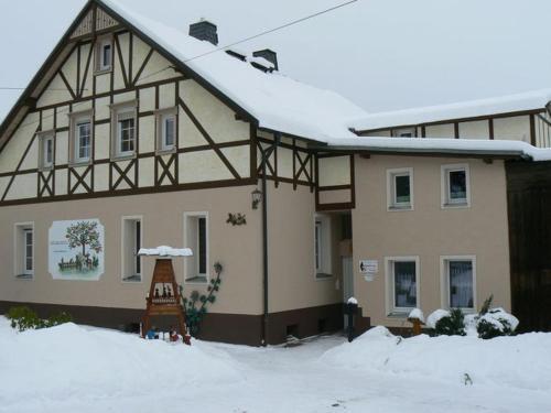 Modern Apartment Inpohla Saxony Near Ski Area