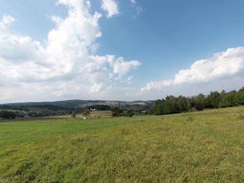 Modern Apartment Inpohla Saxony Near Ski Area