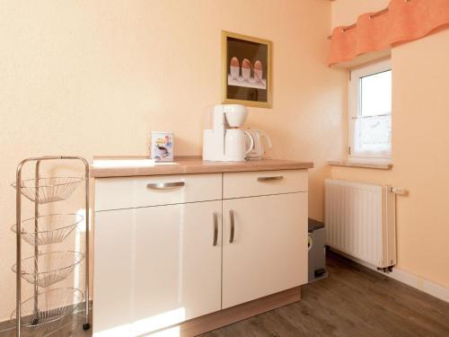 Modern Apartment Inpohla Saxony Near Ski Area