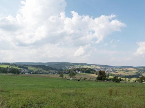 Modern Apartment Inpohla Saxony Near Ski Area
