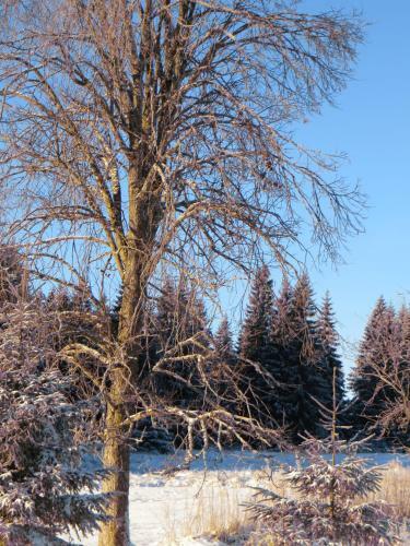 Hostal Pension Talblick