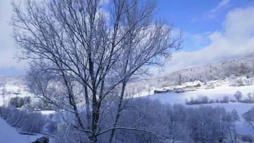 Hotel Landgut Stetter