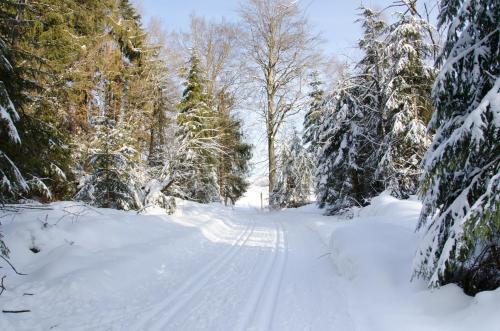 Hostal Pension Waldesruh