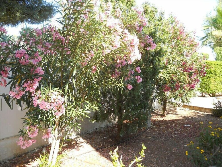 B&B La Strea