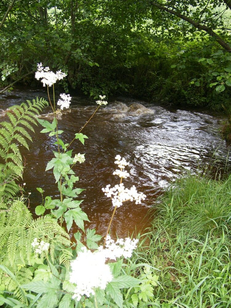 Bed & Breakfast Le Moulin Du Chet