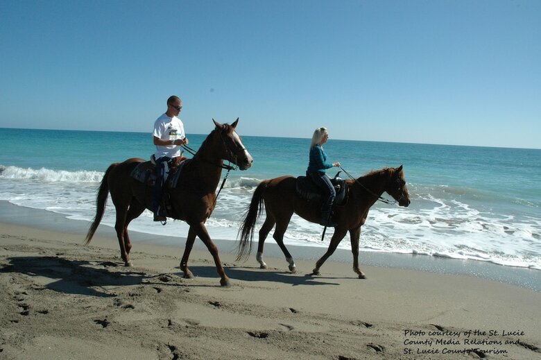 Perfect Drive Vacation Rentals