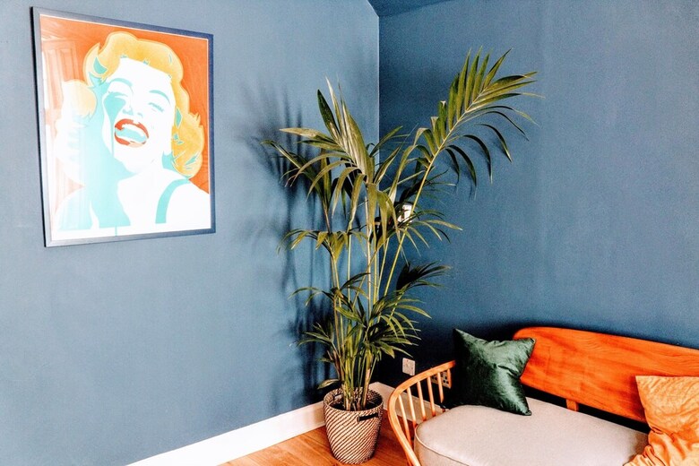 1 Bedroom Cottage Near Haymarket