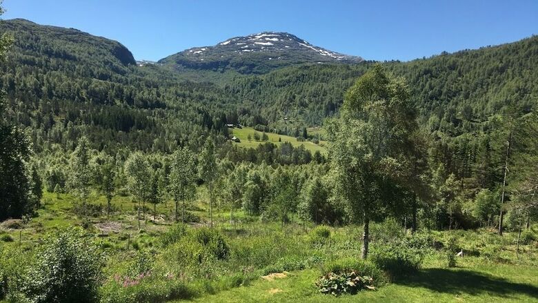 Hotel Voss Lodge Rongastovo