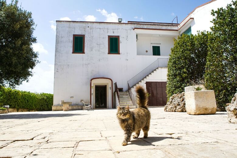Apartamento Masseria Guadiano Vecchio