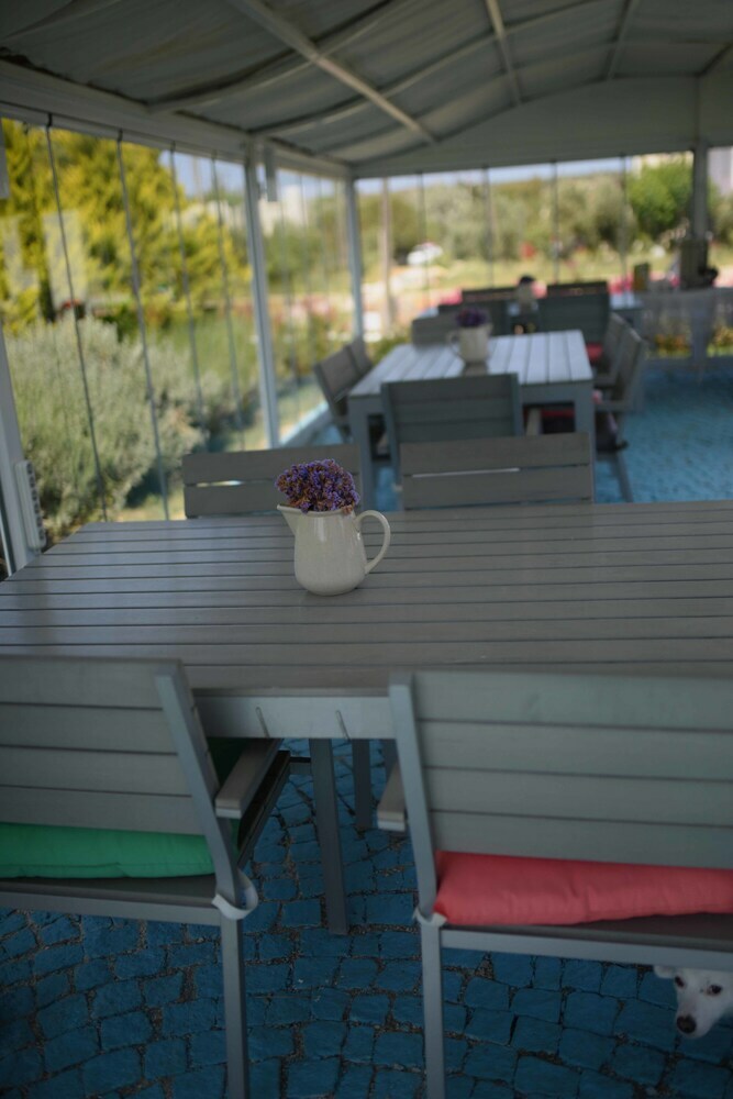 Hotel Aspasia House