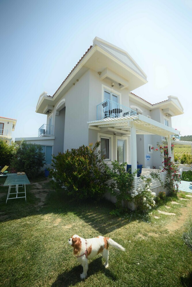 Hotel Aspasia House