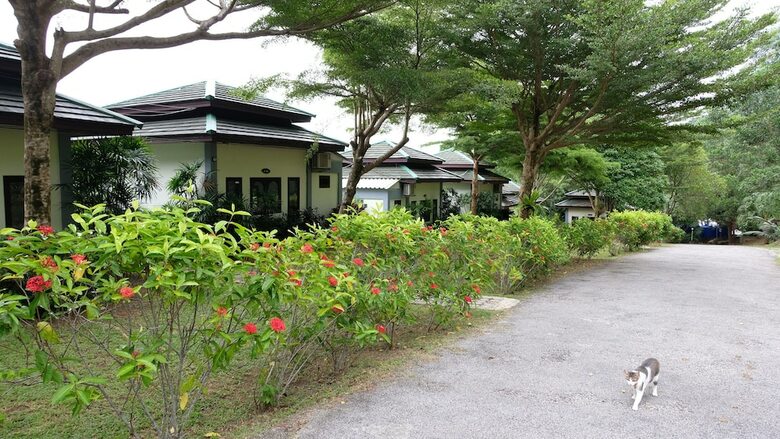 Hotel Khaolak Hillside Villa
