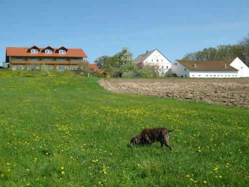 Apartamento Am Ferienhof
