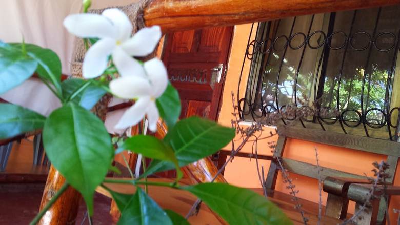 Hotel Sipano Beach Lodge Zanzibar
