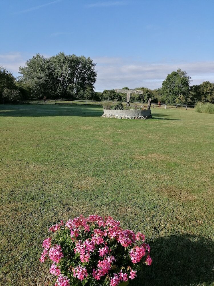 Le Domaine Des Tostes