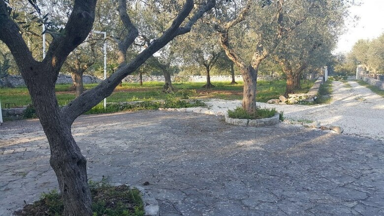 Casa Ziaz�