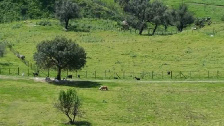 Agroturismo Agriturismo Mama Lina