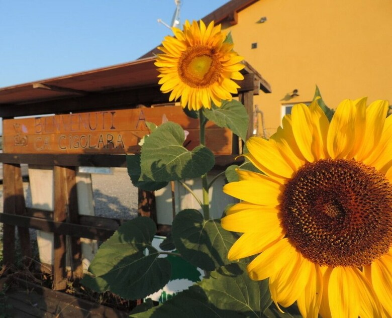 Agroturismo Societ� Agricola Cacigolara