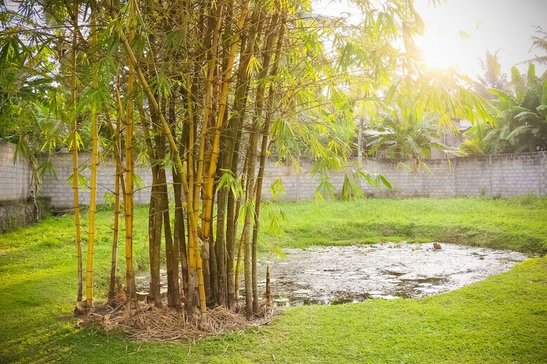 Villa Horahena Farm Stay