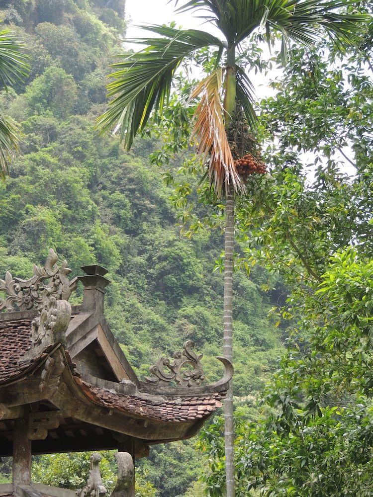 Hotel The Ancient House