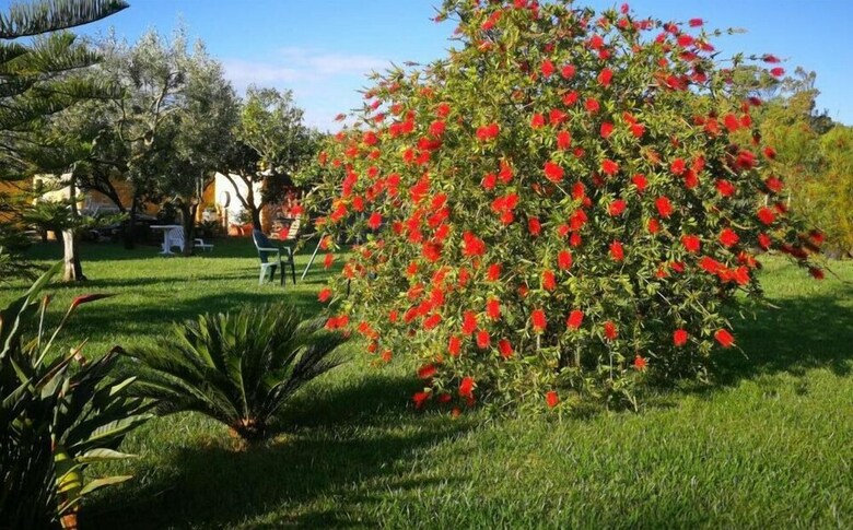 B&B Fiori Di Pesco