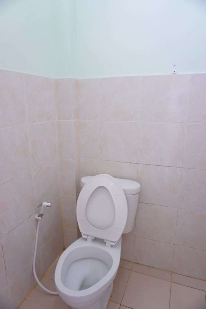 Hotel Palmy Home