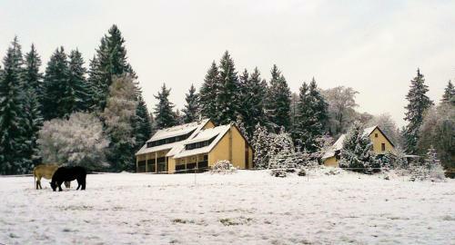 Waldhotel Z�bischhaus