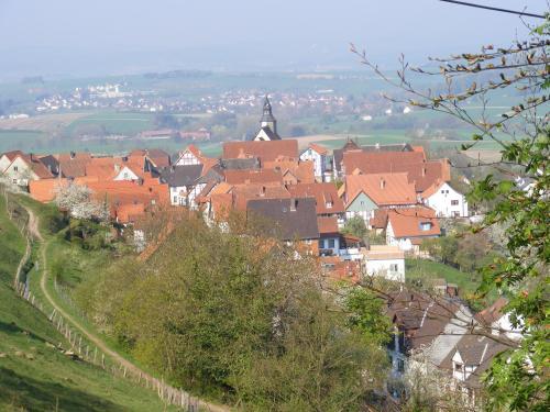 Hostal Hotel-restaurant Berggarten