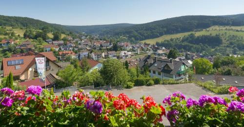 Panoramahotel Heimbuchenthal