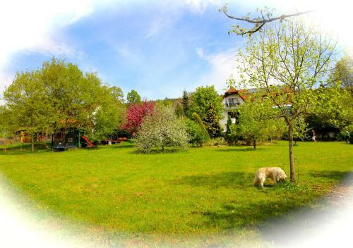 Apartamento Pension H�chemer