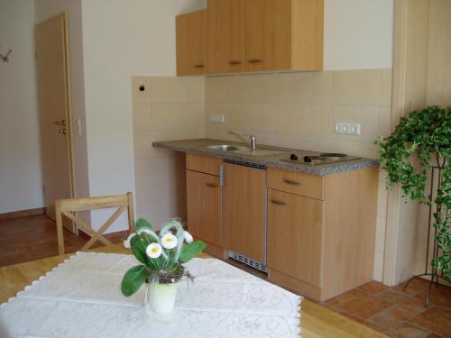 Apartamento Ferienhaus Kiesel