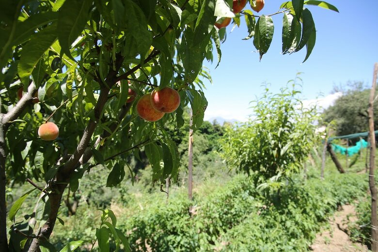 Bed & Breakfast Villa Cati�